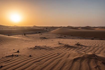 UAE desert dunes at sunset